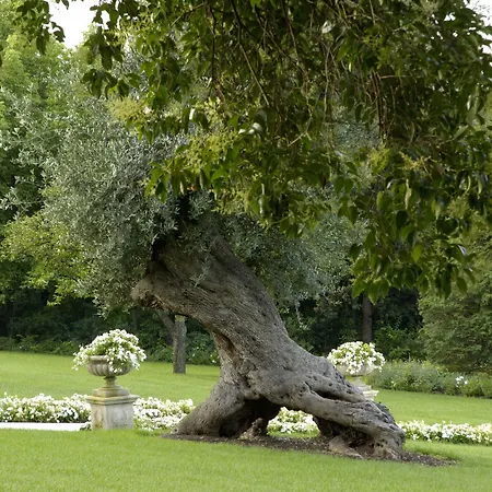 비블로스 아트 아미스타 5* 산피에트로인카리아노