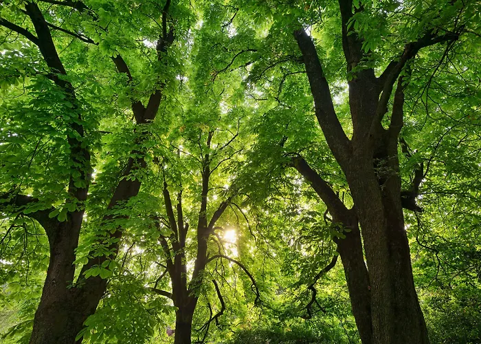 Byblos Art Amista San Pietro in Cariano