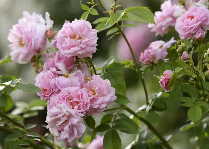 Byblos Art Amista Ξενοδοχείο 5*